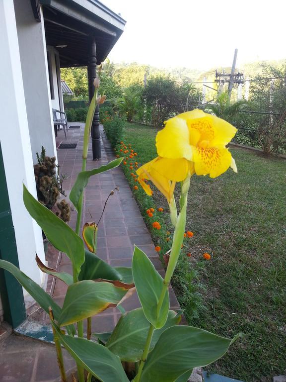 Kandy Holiday Home Eksteriør billede